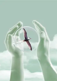 Philosophie Illustration